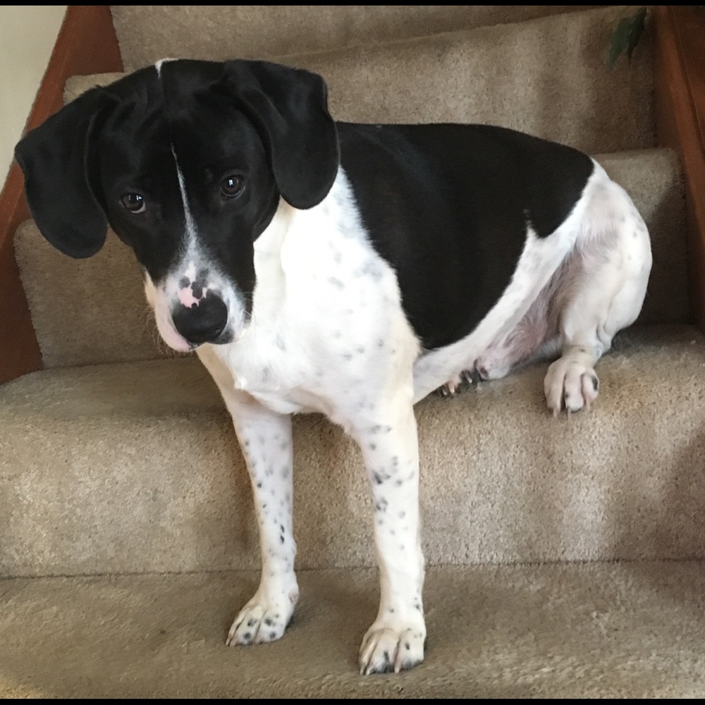 Meet your Posher, Kristen